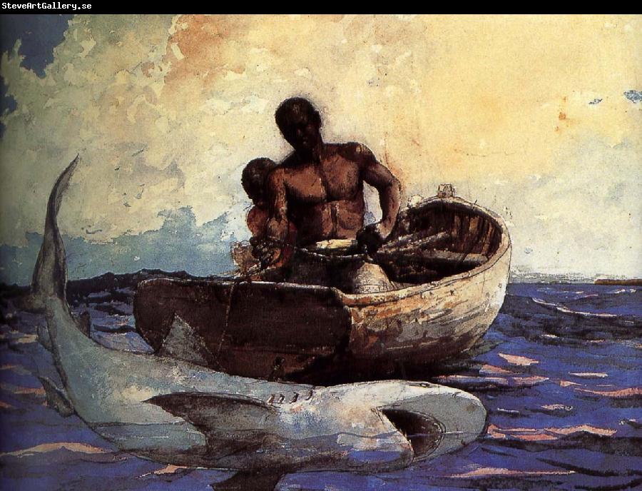 Winslow Homer Shark